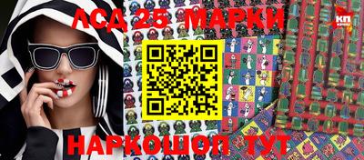 мдпв Новозыбков