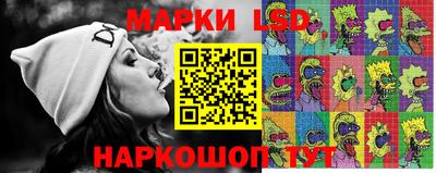 мдпв Новозыбков