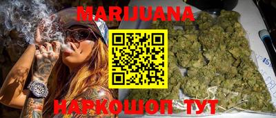 мдпв Новозыбков