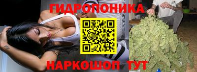 мет Новодвинск