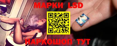 мдпв Новозыбков
