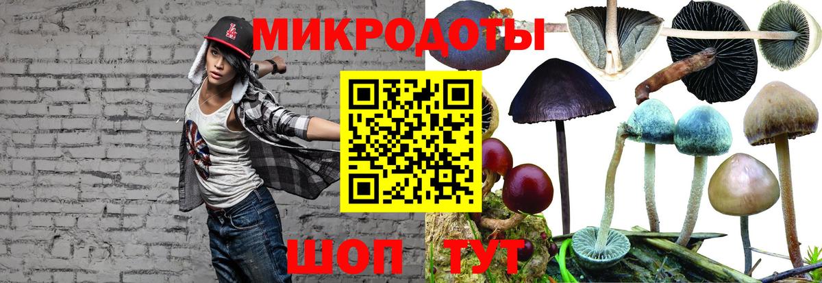 Томск  Галлюциногенные грибы MAGIC MUSHROOMS  закладки  Вход с VPN 